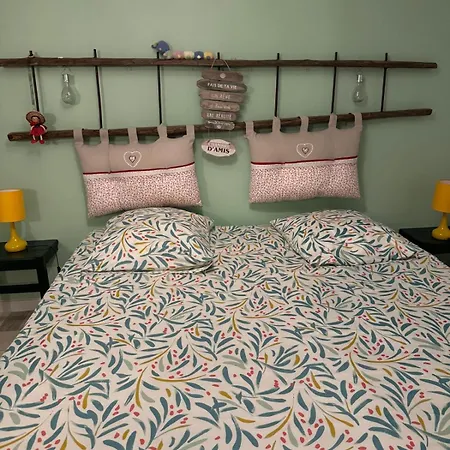 La Traboule Maison De Avec Exterieur * Aurec-Sur-Loire